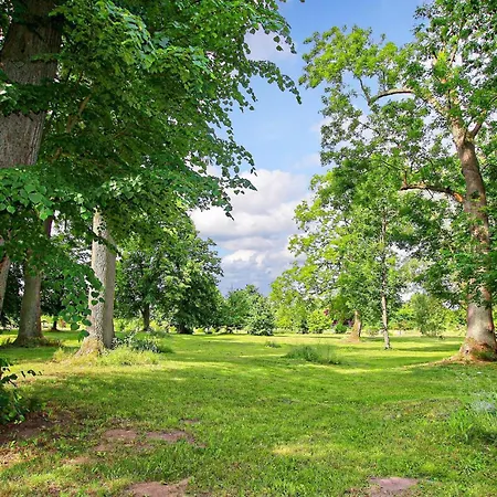 Lägenhet Ferienwohnung Ankershagen Ankershagen