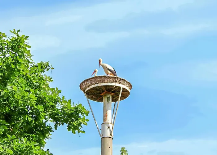 Ferienwohnung Ankershagen Ankershagen